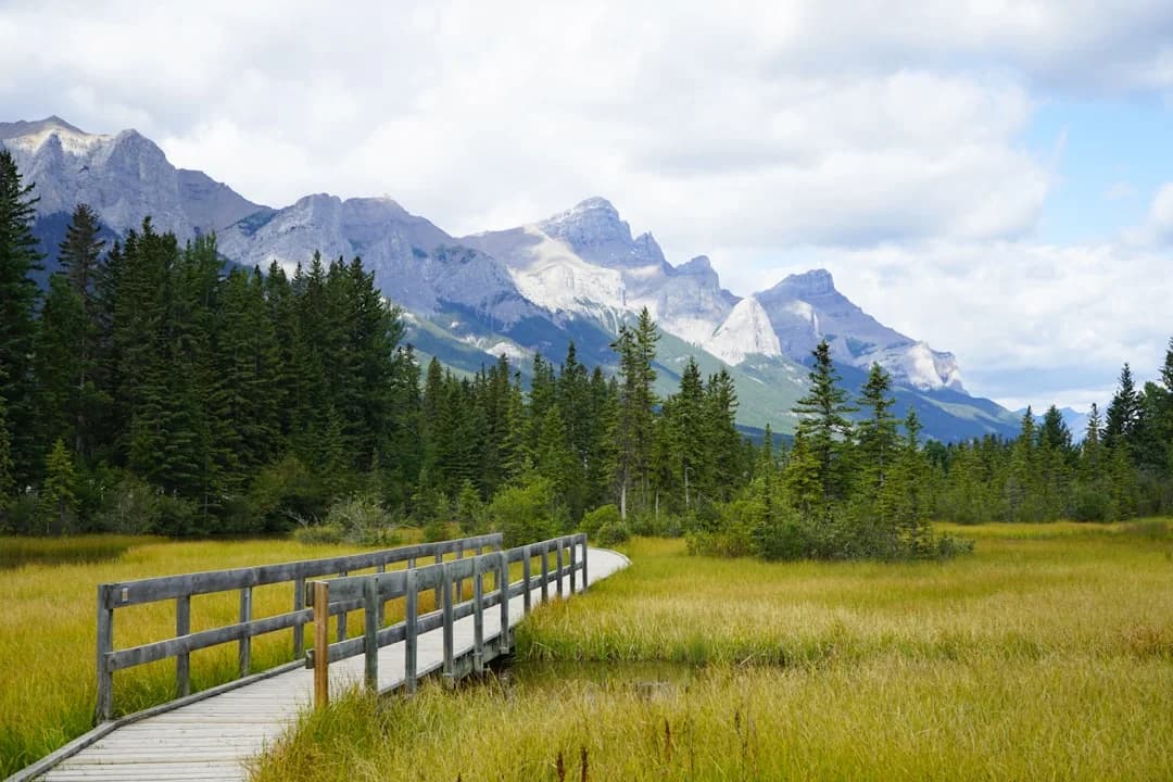 AI-Powered Biodiversity Monitoring Across Canada's Corridor